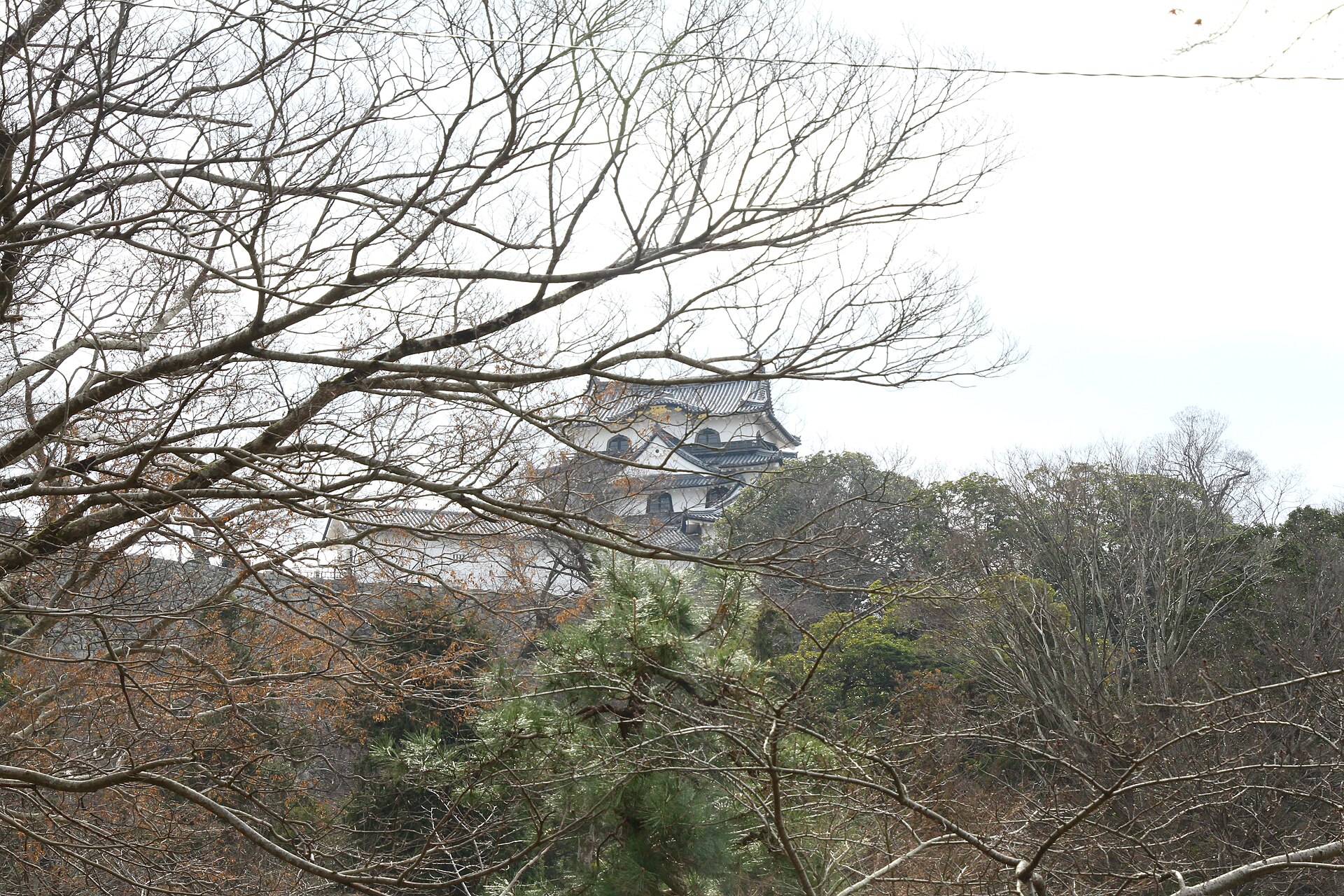 玄宮園から彦根山の天守を見上げる。木立の切れ目から城が現れる位置がある