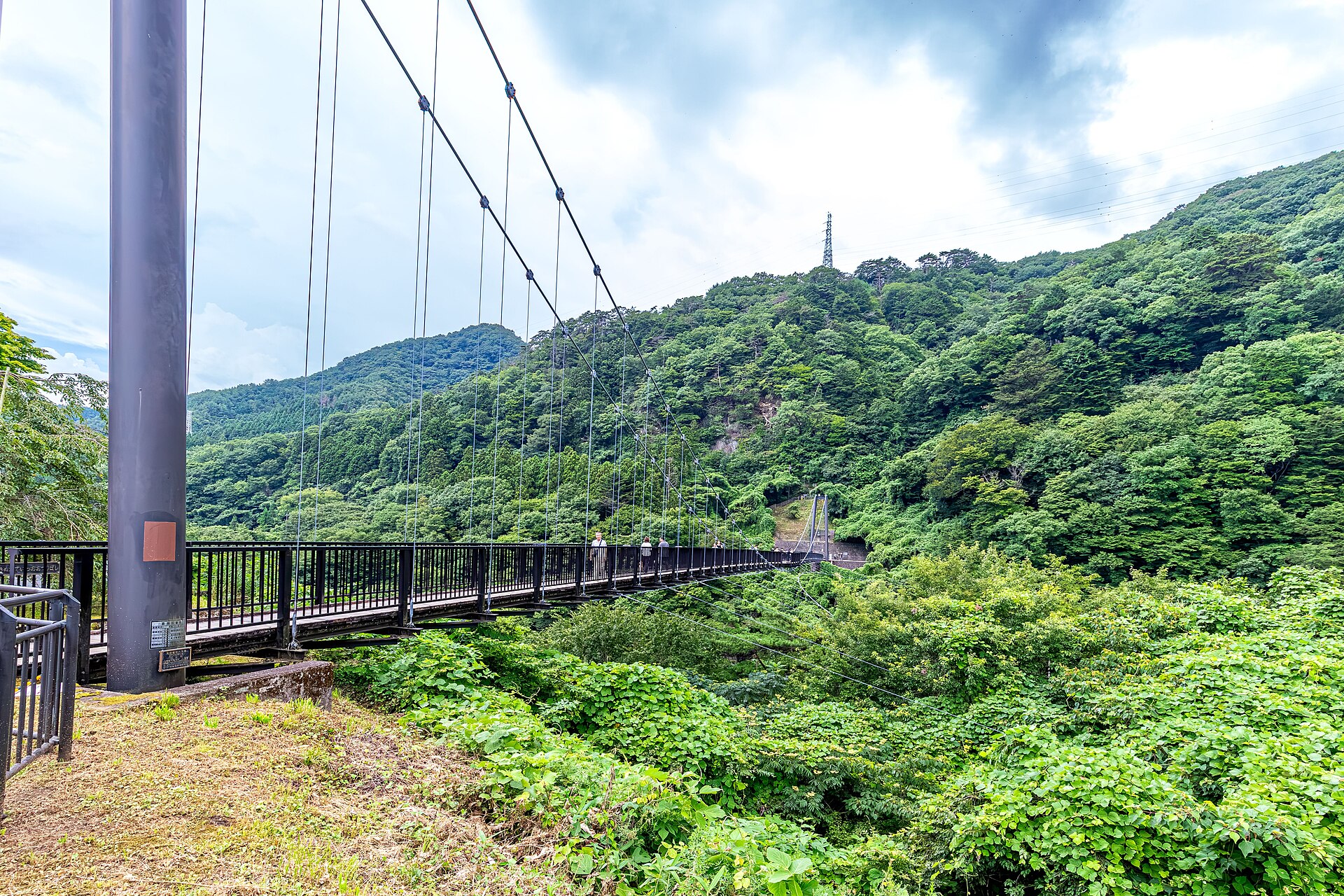 鬼怒楯岩大吊橋を、たもとから。緑の山へ向かって吊橋が延びています