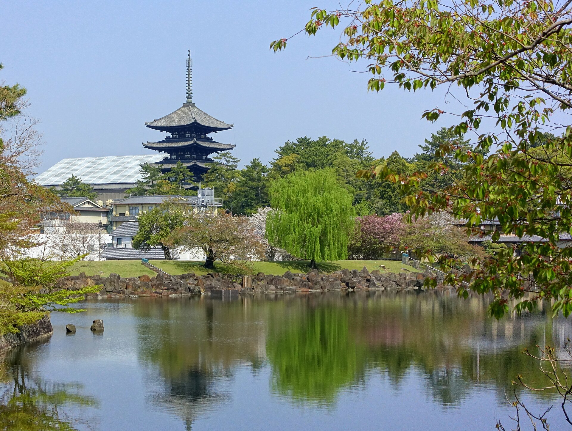 奈良公園・奈良町の写真