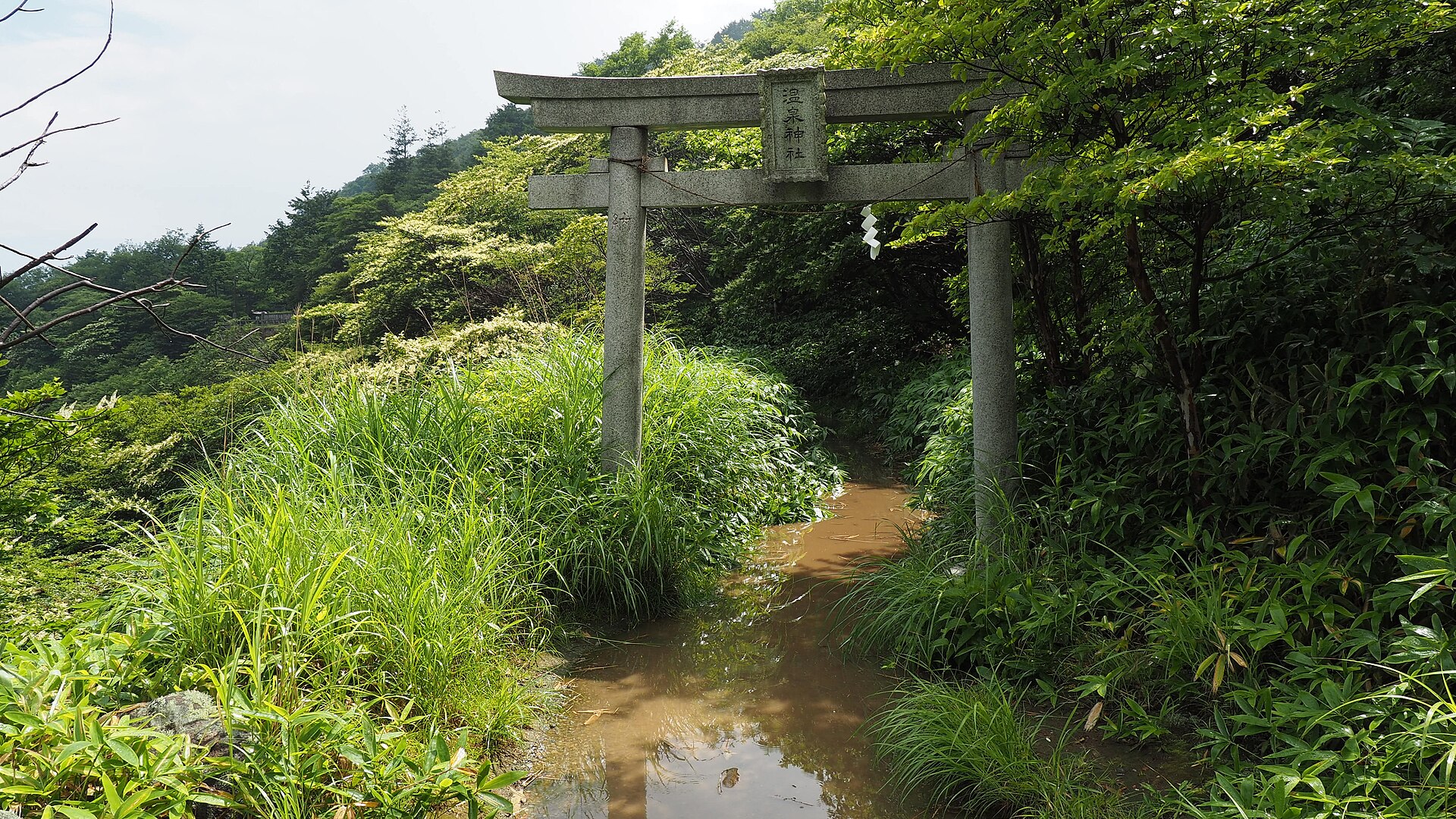 那須の写真