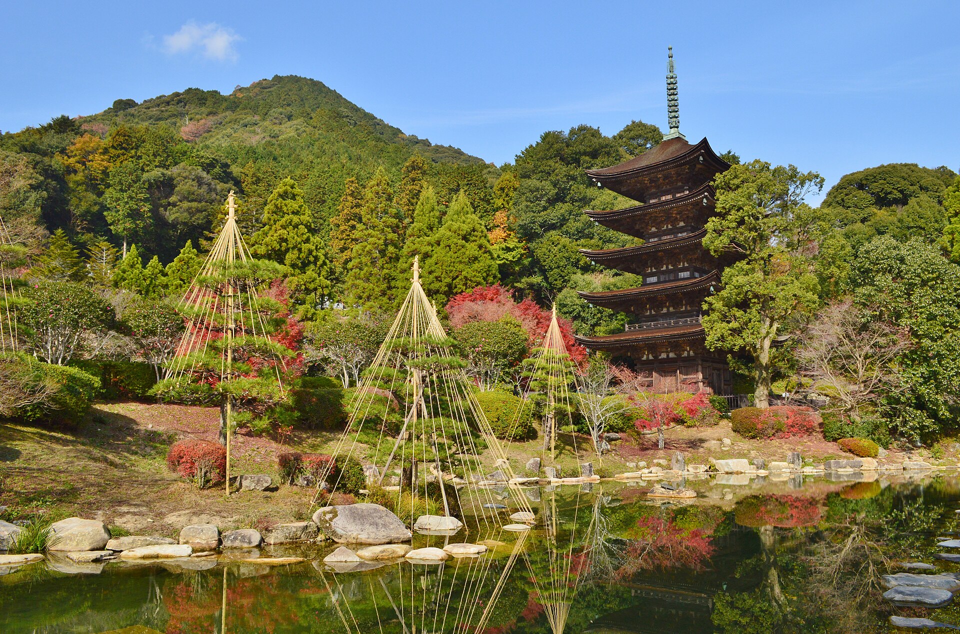 山口の写真